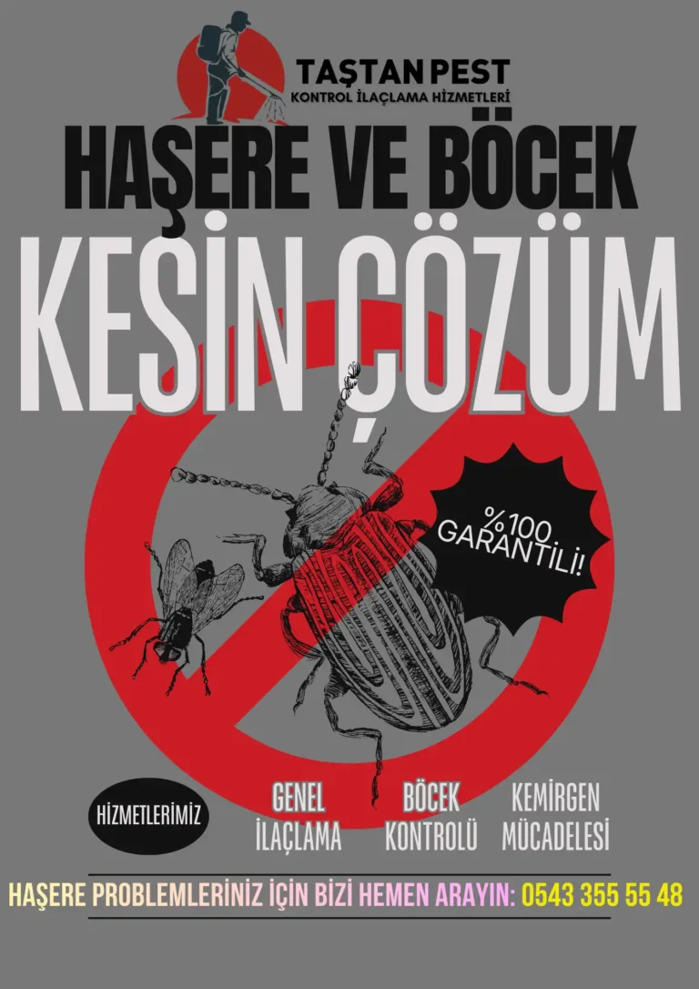 Böcek İlaçlaması Nasıl Yapılır? Evde Kokusuz ve Kesin Çözüm Rehberi